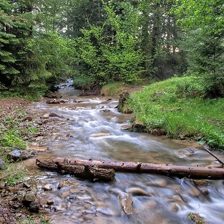 בית כפרי 12 Months Estate