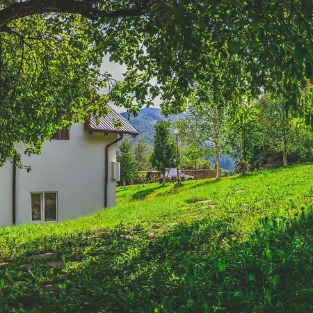 12 Months Estate Country house Myslovka