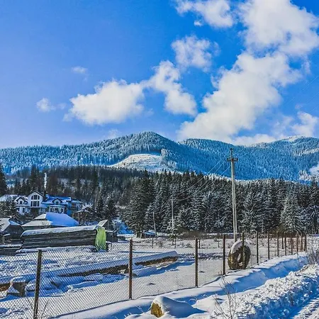 12 Months Estate Myslovka